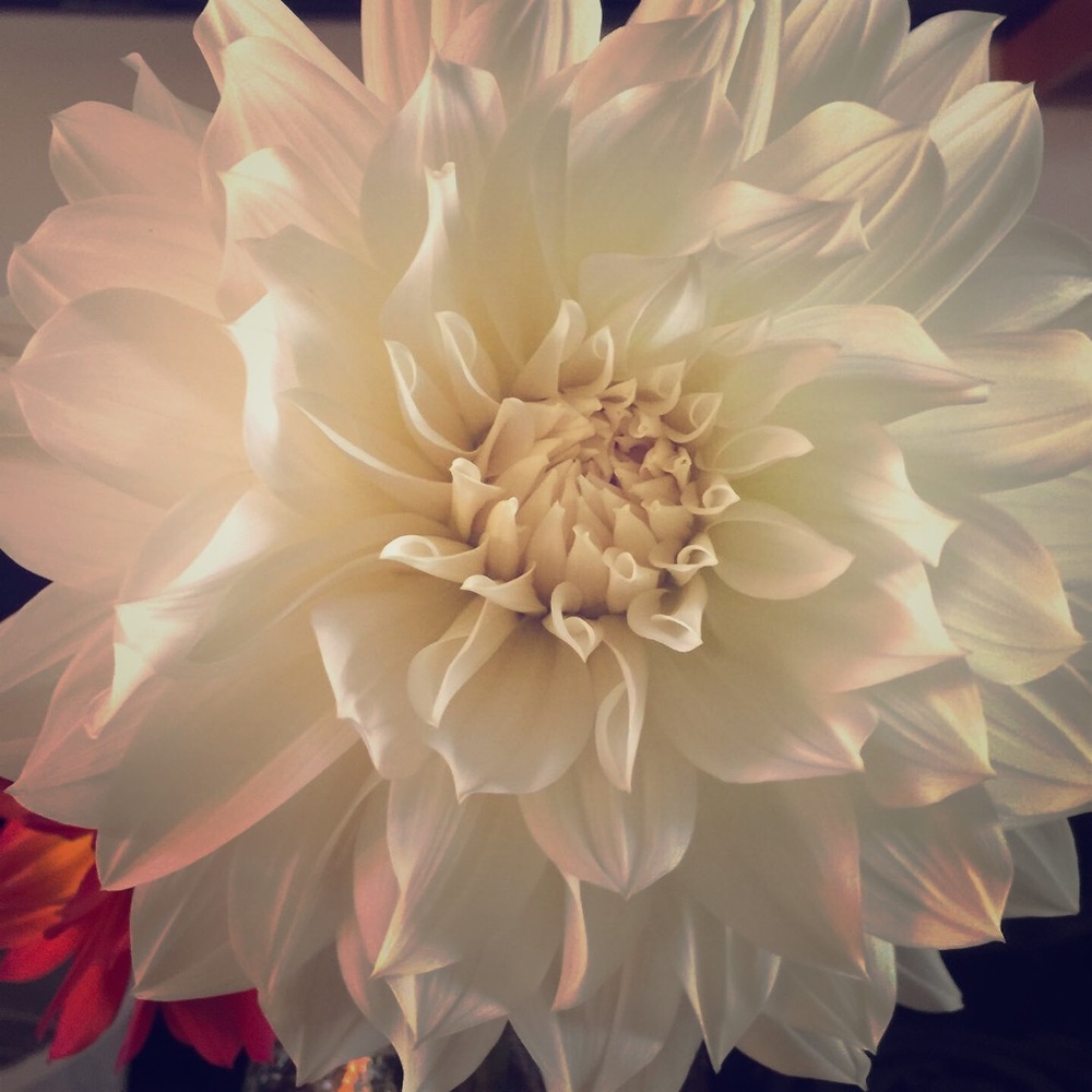 🍁BUNDLE AND SAVE ON 4 items or more !! 🍂 30%